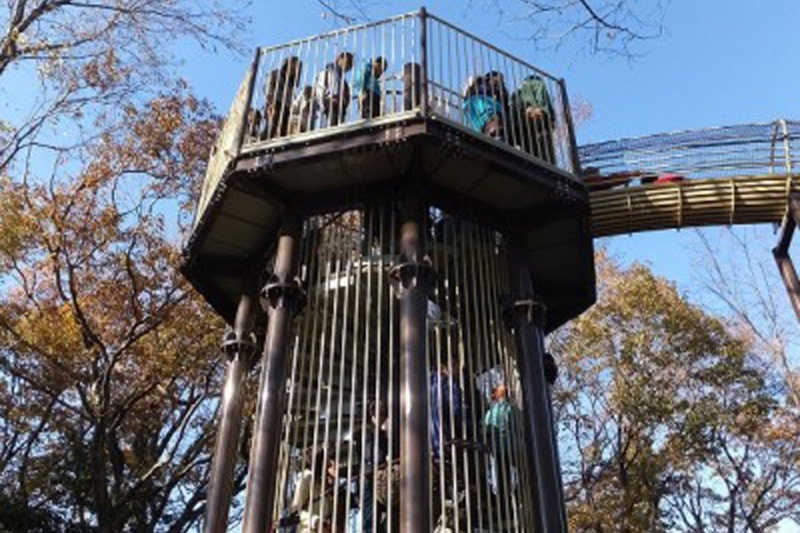 🦖 어린이 숲 공원(코도모노모리 공원) 이미지 1